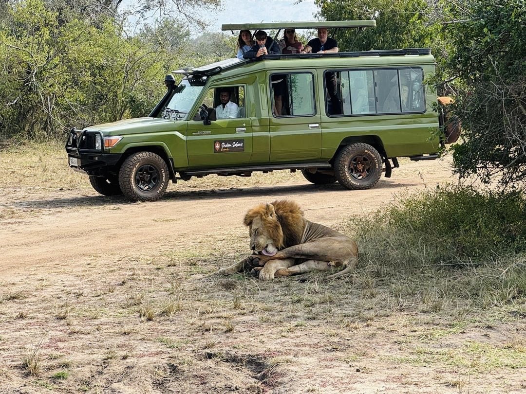 Visit Akagera National Park & Volcanoes National  Park